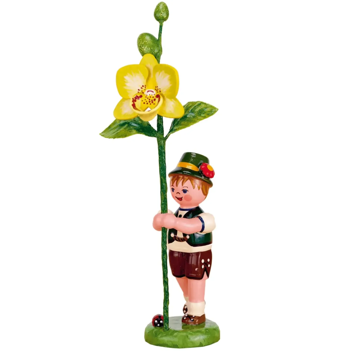 Blumenkinder Orchidee