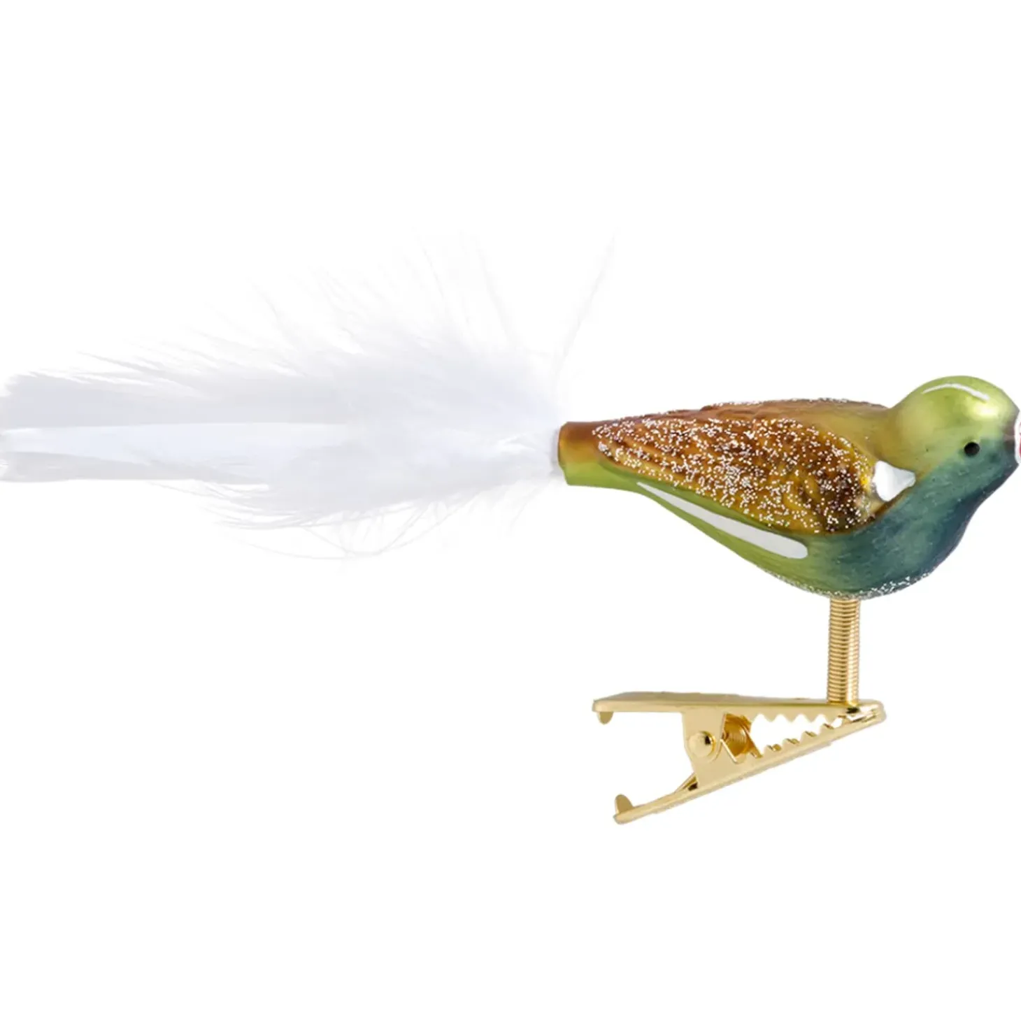 Glasvogel Blau-Grun
