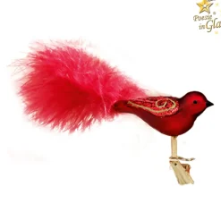 Glasvogel Bordeaux