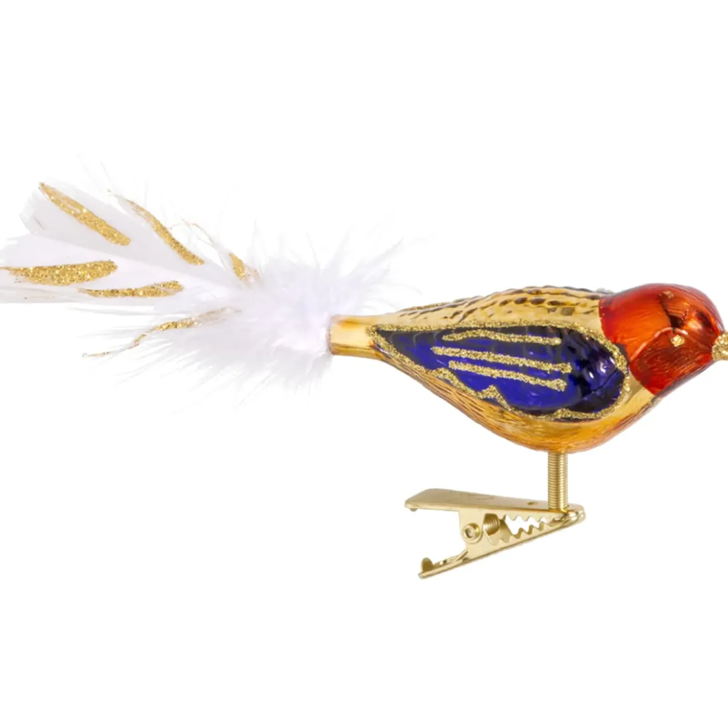 Glasvogel Gold-Rot-Violett