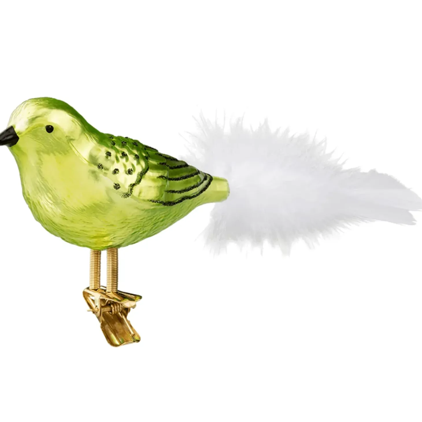 Glasvogel Grun