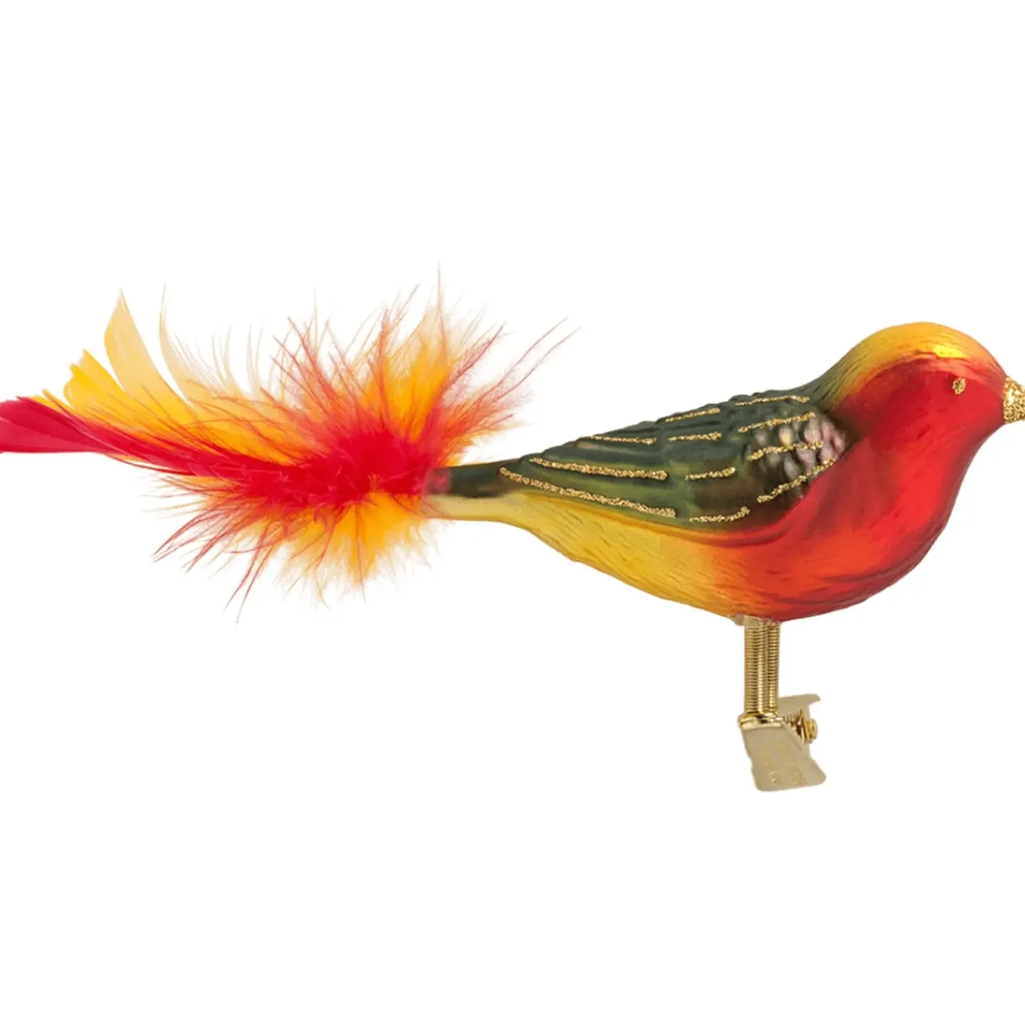 Glasvogel Rot-Grun