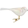 Glasvogel Weis