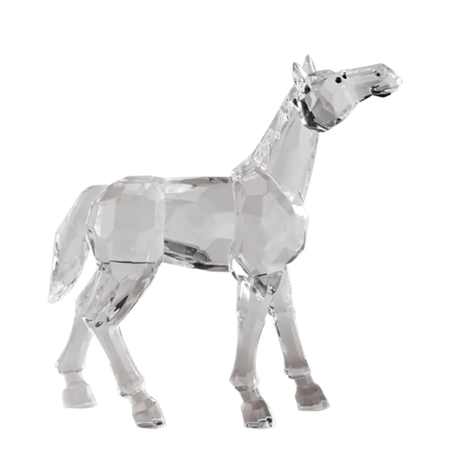 Pferd Mit Gestrecktem Kopf, Akryl