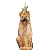 Schaferhund