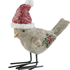 Vogel Mit Weihnachtsmutze